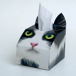 Paws 4 Africa Cat tissue box | Meister Trading | The Cat Product Specialist
