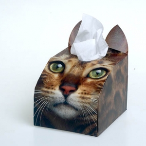 Paws 4 Africa Cat tissue box | Meister Trading | The Cat Product Specialist