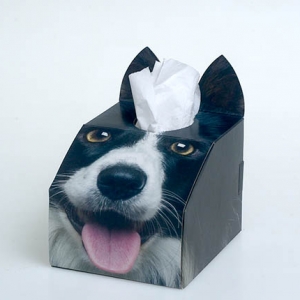 Paws 4 Africa Dog tissue box | Meister Trading | The Cat Product Specialist