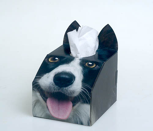 Paws 4 Africa Dog tissue box | Meister Trading | The Cat Product Specialist