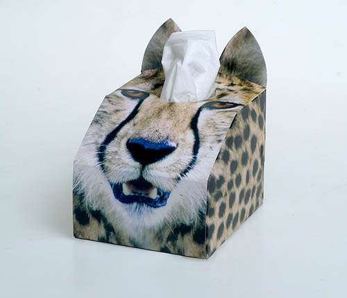 Paws 4 Africa Wild Animal tissue box | Meister Trading | The Cat Product Specialist