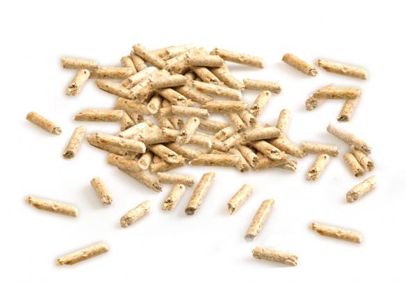 Cats Best Pellets | Meister Trading | The Cat Product Specialist